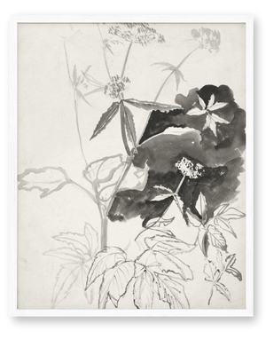 Flower Sketch
