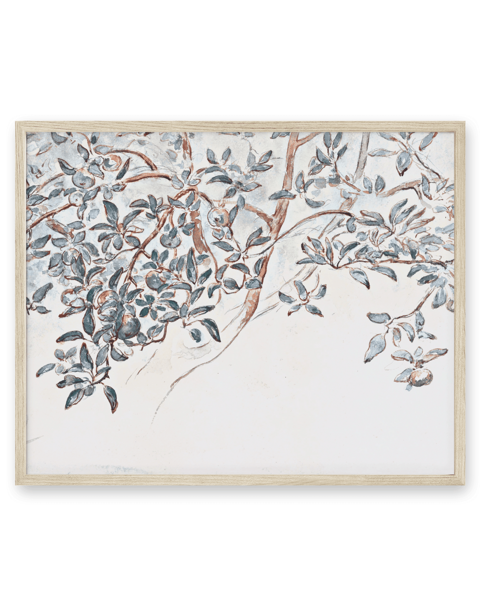 Apple Tree Branches