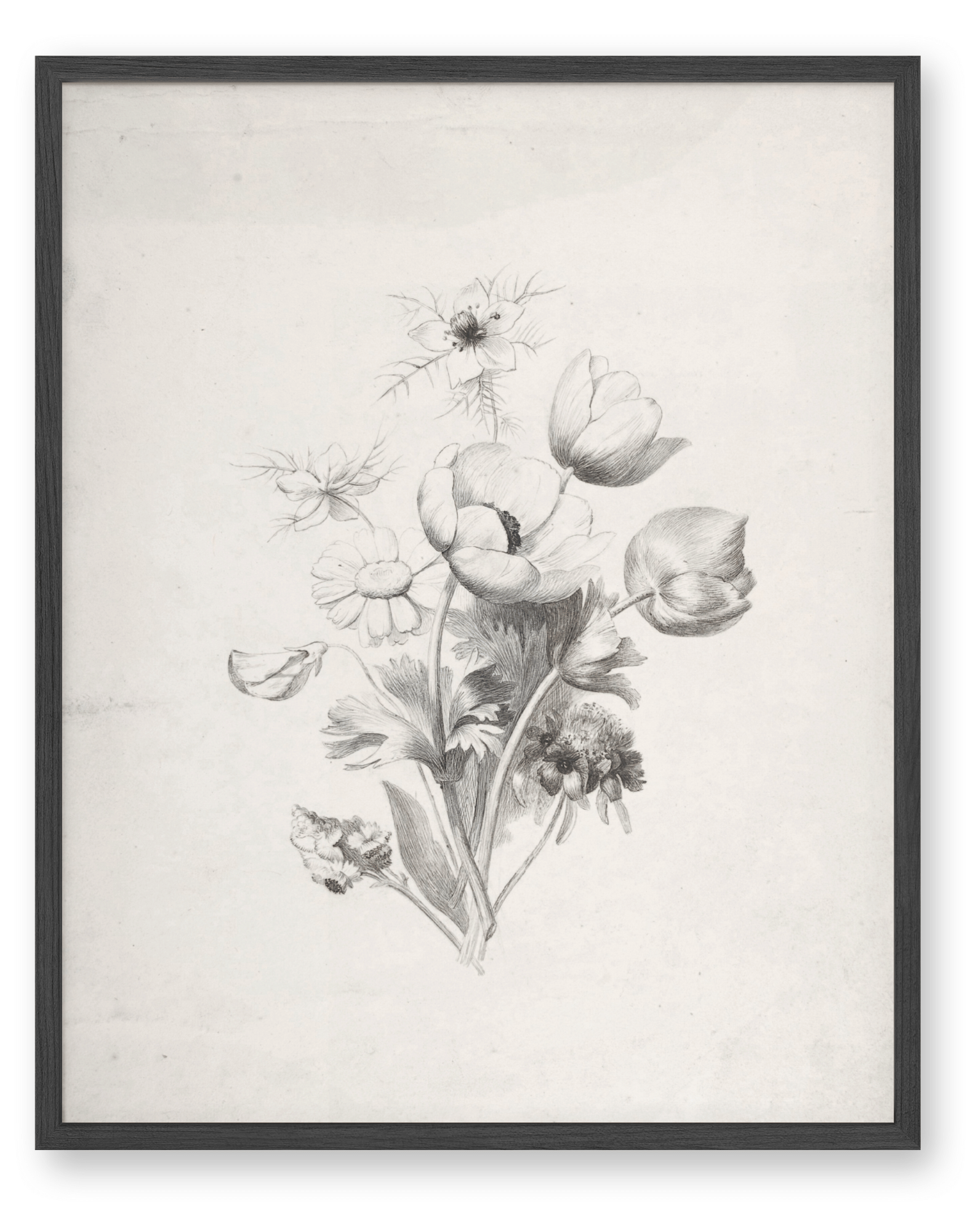 Flower Sketch