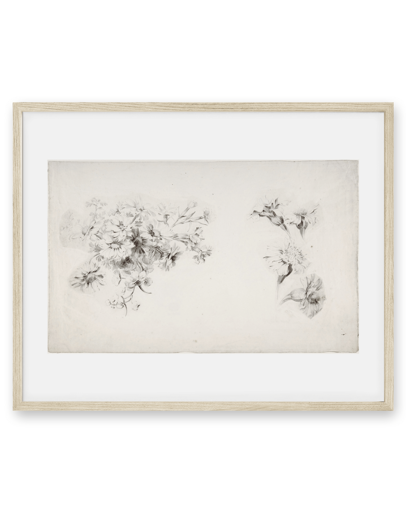 Botanical Parchment
