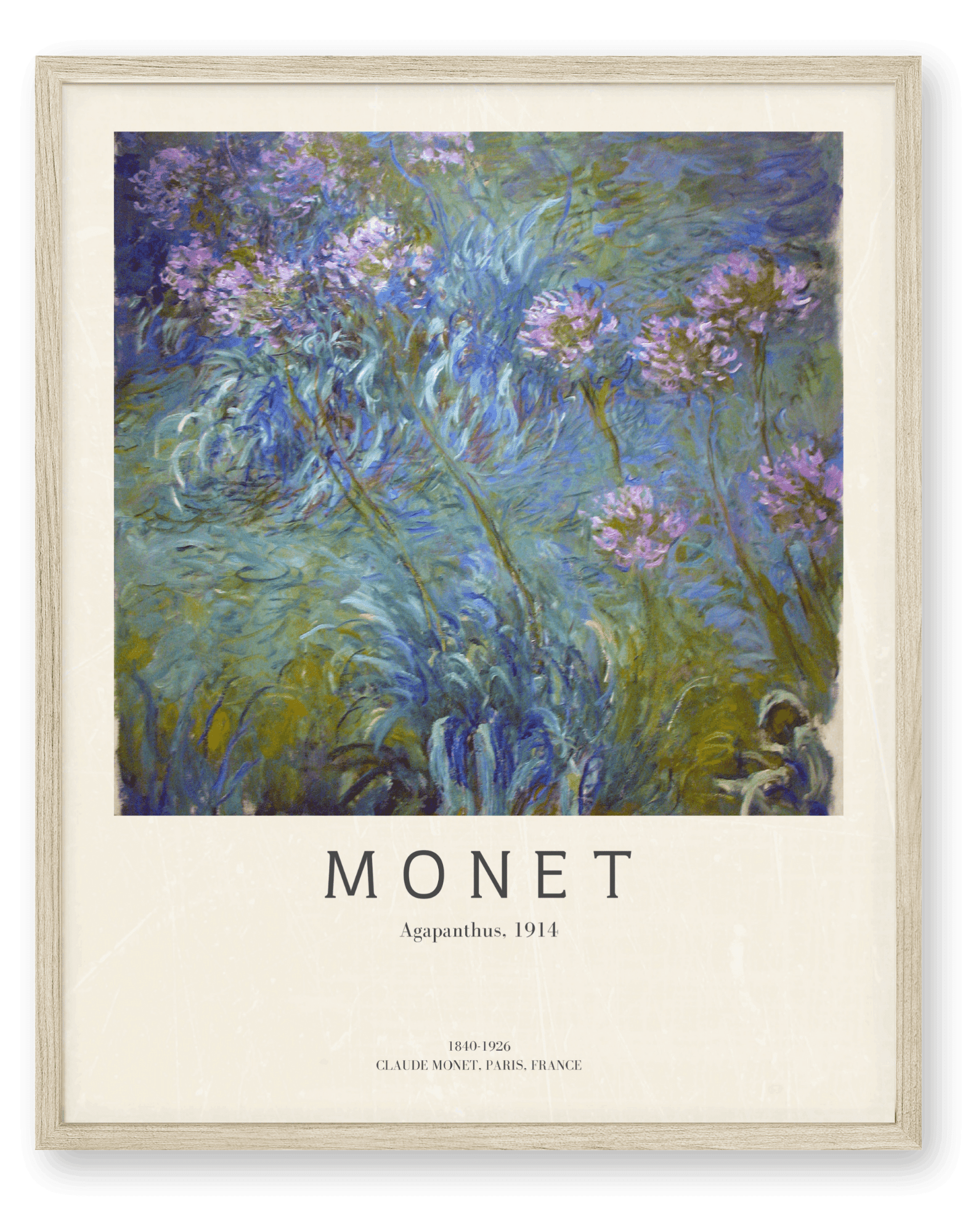 Monet - Agapanthus