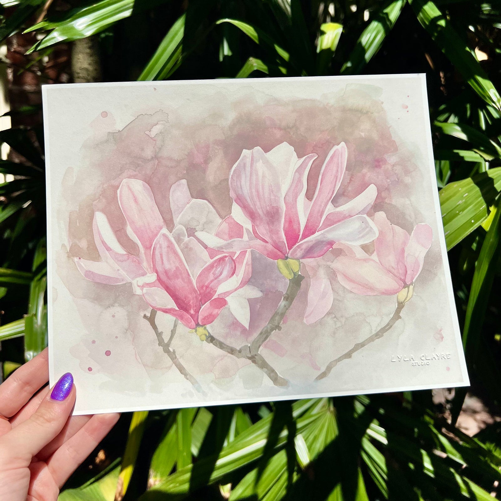Japanese Magnolia