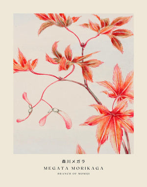 Morikaga - Branch of Momiji