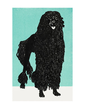 Jung - Poodle 1912