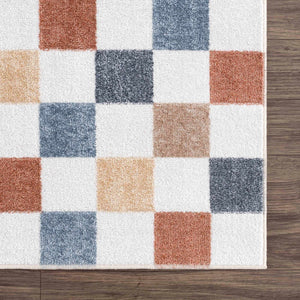 Alie Colorful Checkered Washable Runner Rug