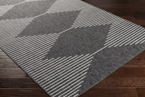 Stephan Indoor & Outdoor Runner Rug