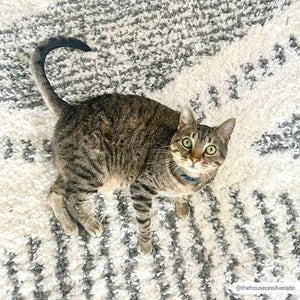Trunding Runner Rug