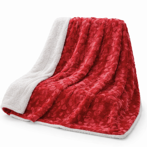 DaDa Bedding Luxury Romantic Red Lovely Hearts Dreamy Plush Faux Fur Throw Blanket (19)