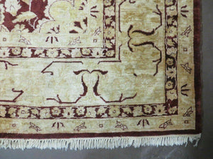 10' X 15' Hand Made Pakistan Wool on Cotton Rug Peshawar # 200A