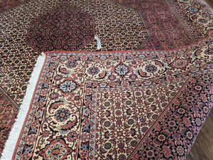 Stunning Persian Bijar Rug 8x11 - Herati Mahi Pattern