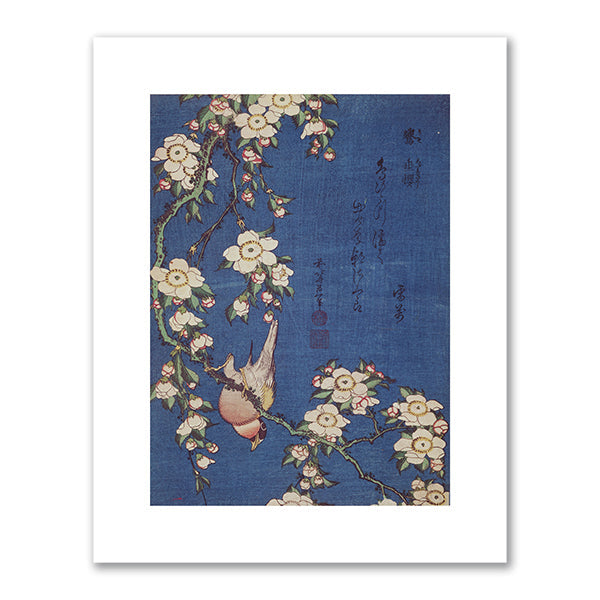 Bullfinch and Weeping Cherry by Katsushika Hokusai