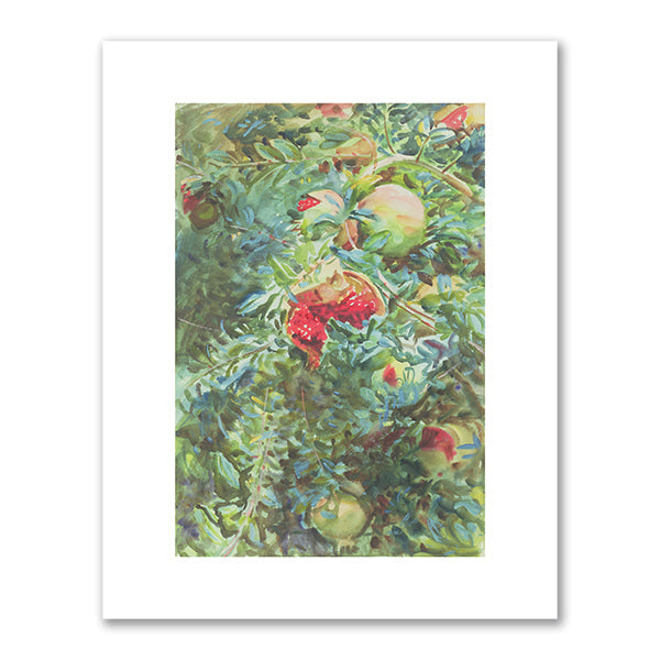 Pomegranates by John Singer Sargent