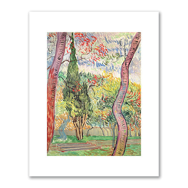 The Garden of St. Paul's Hospital, St. Remy by Vincent van Gogh