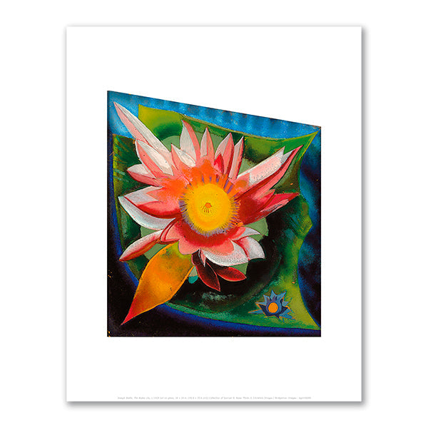 The Water Lily by Joseph Stella