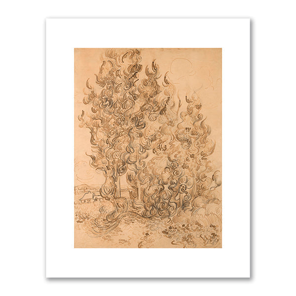 Cypresses by Vincent van Gogh