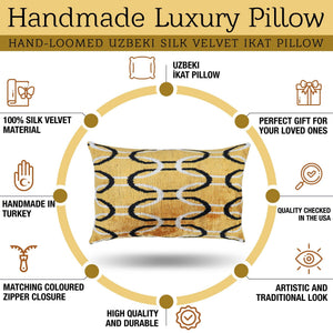 Canvello Soft Velvet Silk Gold Bkack Couch Cushion with Fown Insert - 16x24