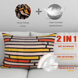 Canvello Velvet Comfortable Pillows For Couch | 16 x 24 in (40 x 60 cm)