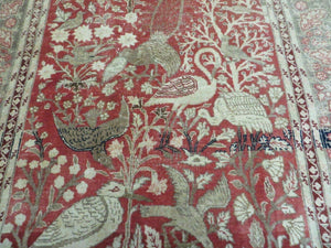 4' X 6' Antique Handmade Turkish Tree Of Life Oriental Wool Rug Birds Red