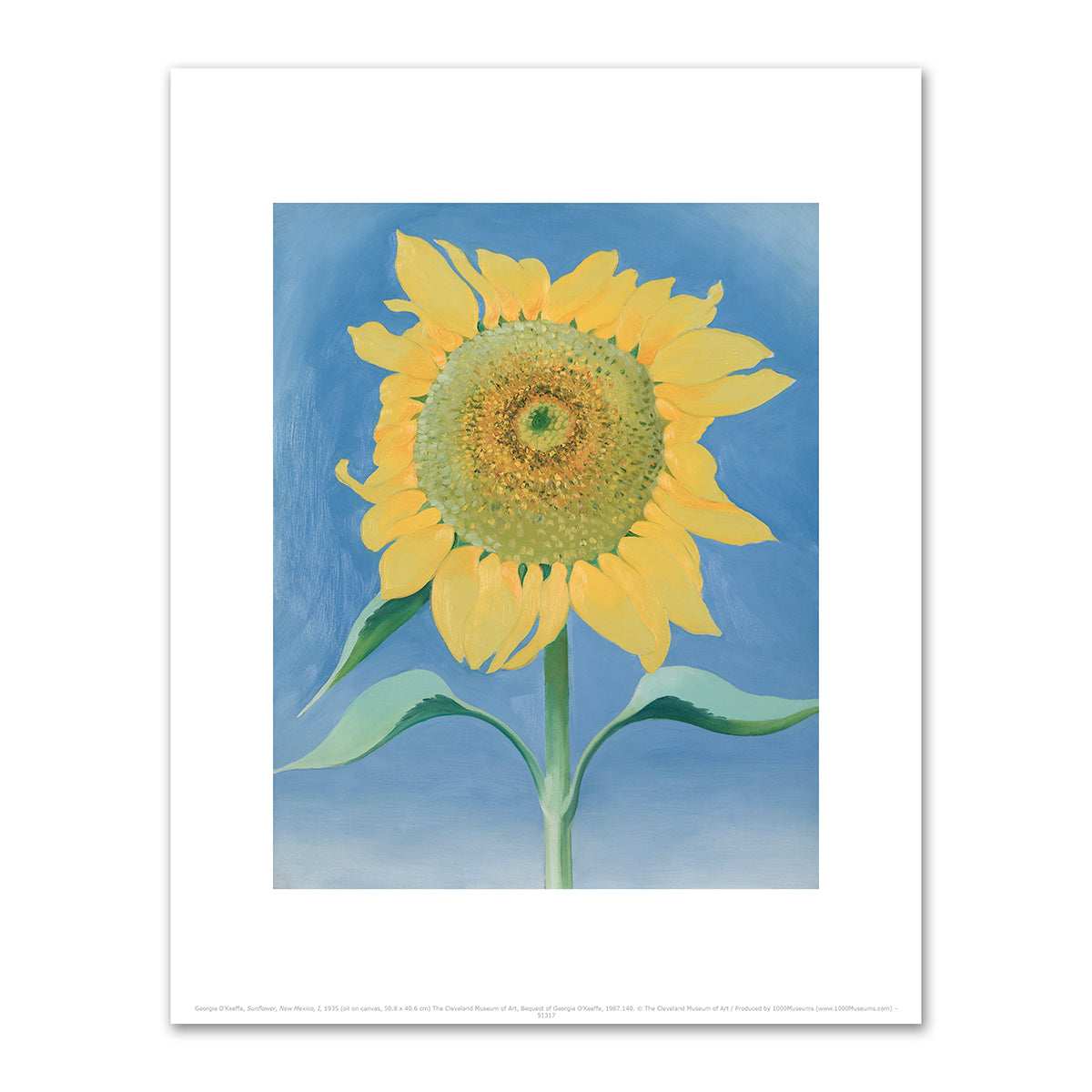 Sunflower, New Mexico, I by Georgia O'Keeffe