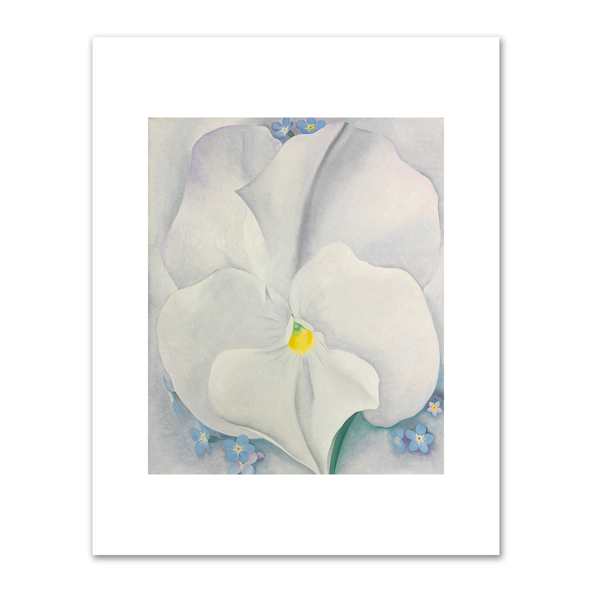White Pansy by Georgia O'Keeffe