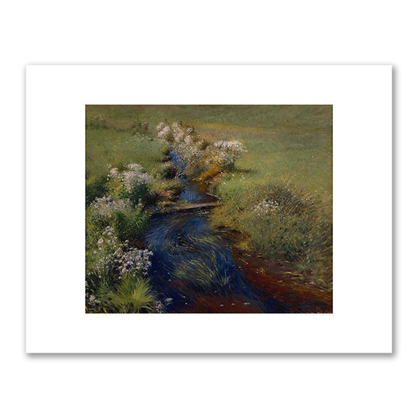 Wild Asters by Dennis Miller Bunker