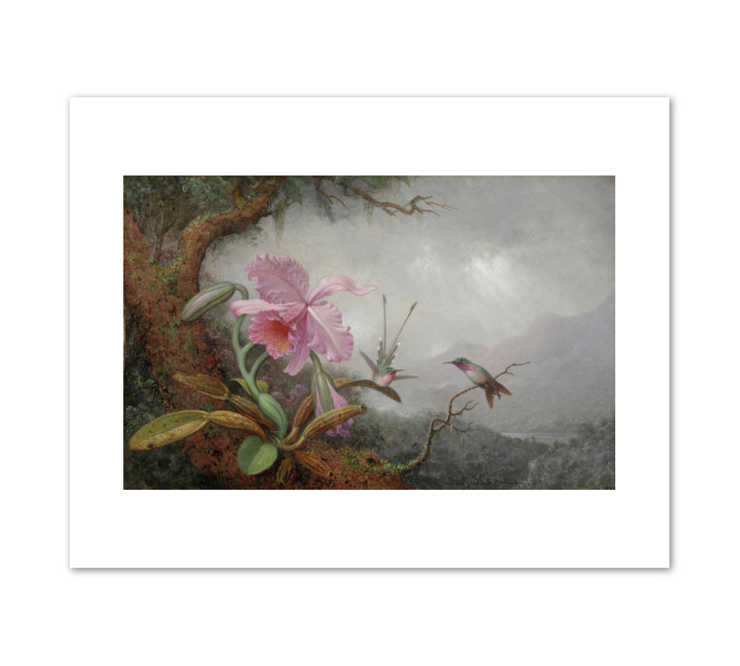 Hummingbirds and Orchids by Martin Johnson Heade