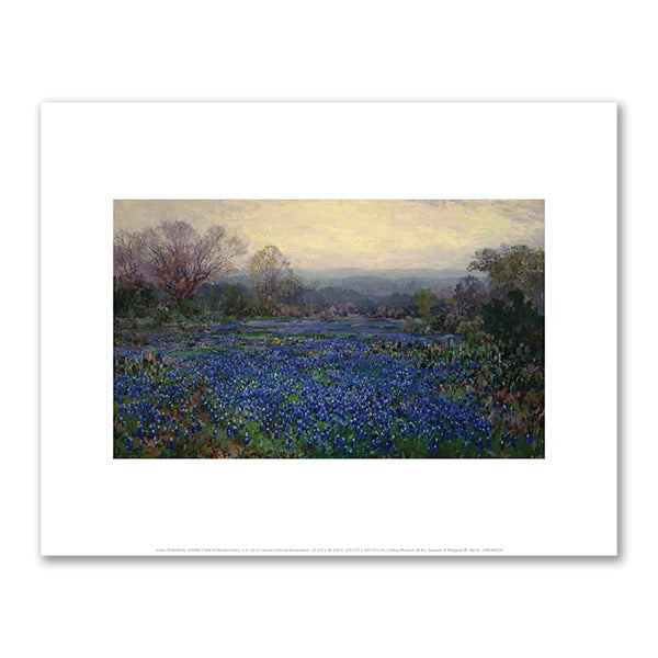 Untitled (Field of Bluebonnets) by Julian Onderdonk