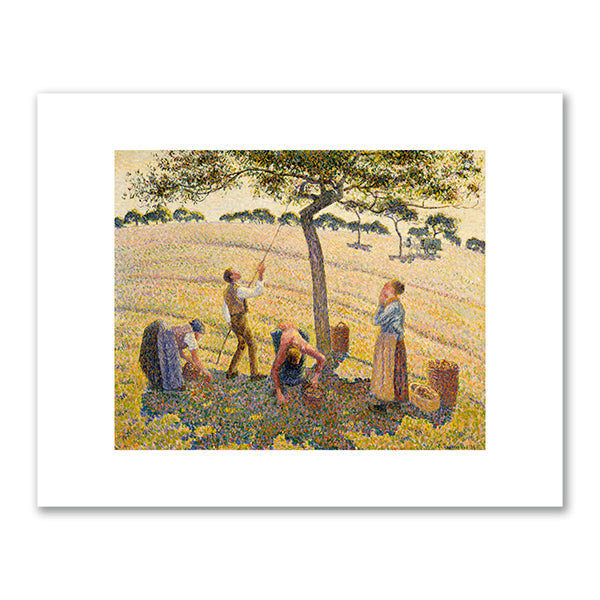 Apple Harvest (Cueillette des pommes) by Camille Pissarro