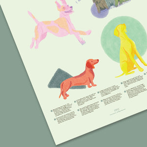 Dog Fun Facts Print