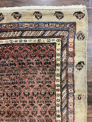 Antique Persian Sarab Runner Rug 3x11, Wool Camel Hair, Tribal Carpet for Hallway 3 x 11, Antique 1920s Rug, Handmade