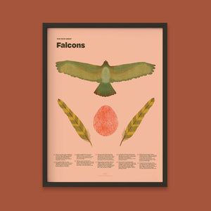 Falcon Fun Facts Print