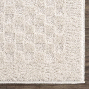 Leryn Ivory Checkered 7ft Runner Rug
