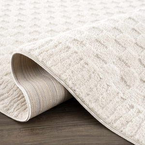 Leryn Ivory Checkered 7ft Runner Rug