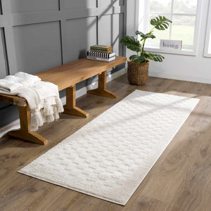 Leryn Ivory Checkered 7ft Runner Rug