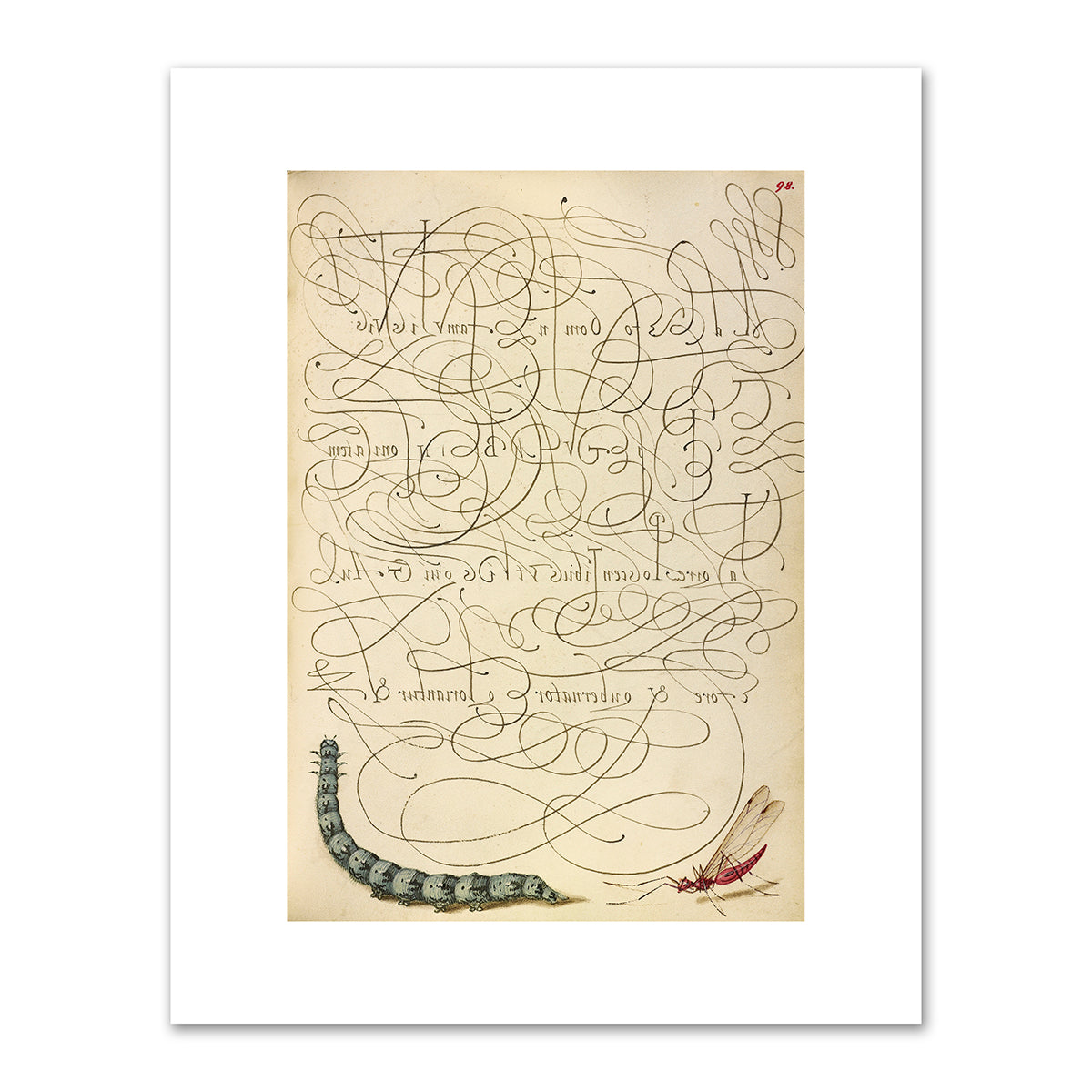 Caterpillar and Insect by Joris Hoefnagel and Georg Bocskay