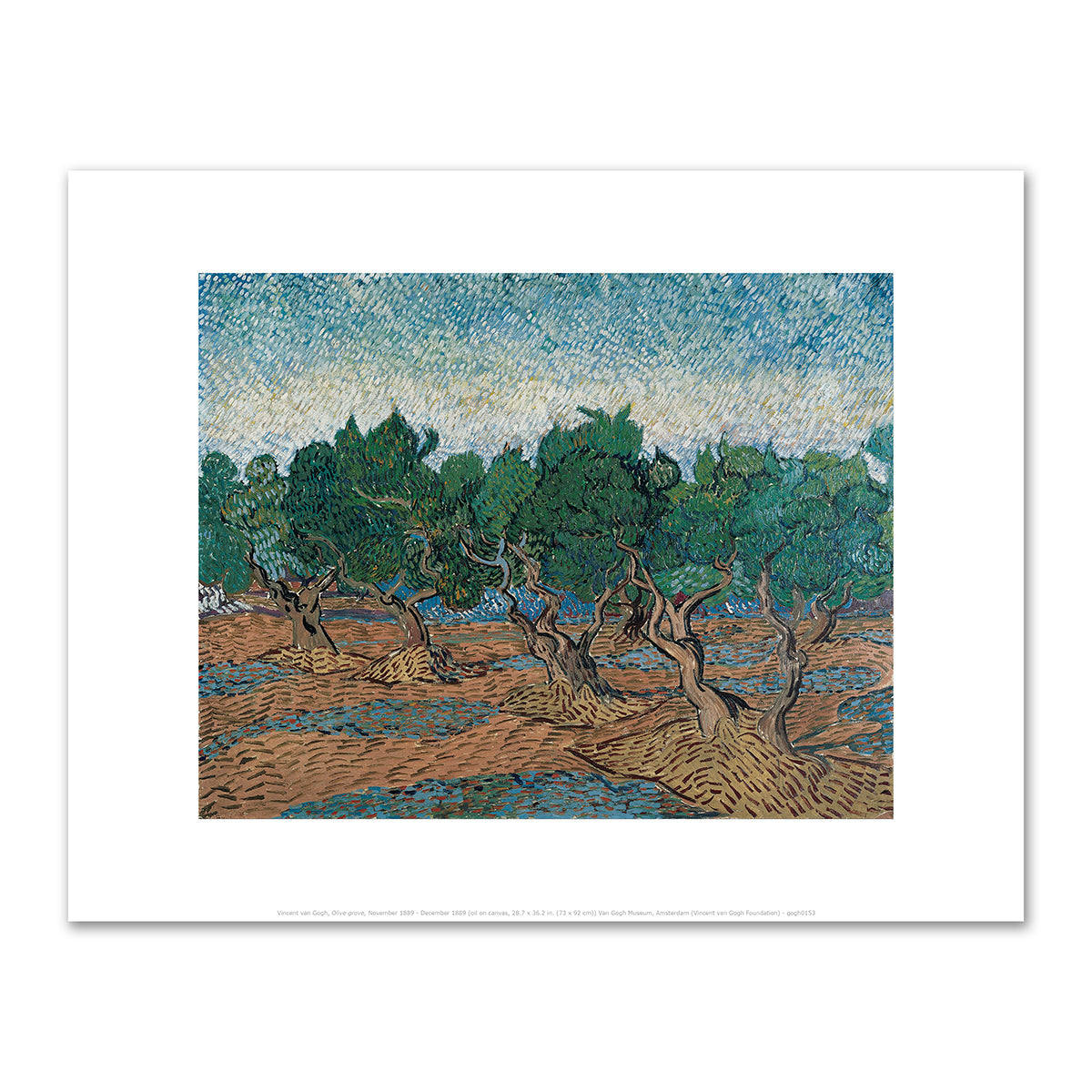 Olive grove by Vincent van Gogh