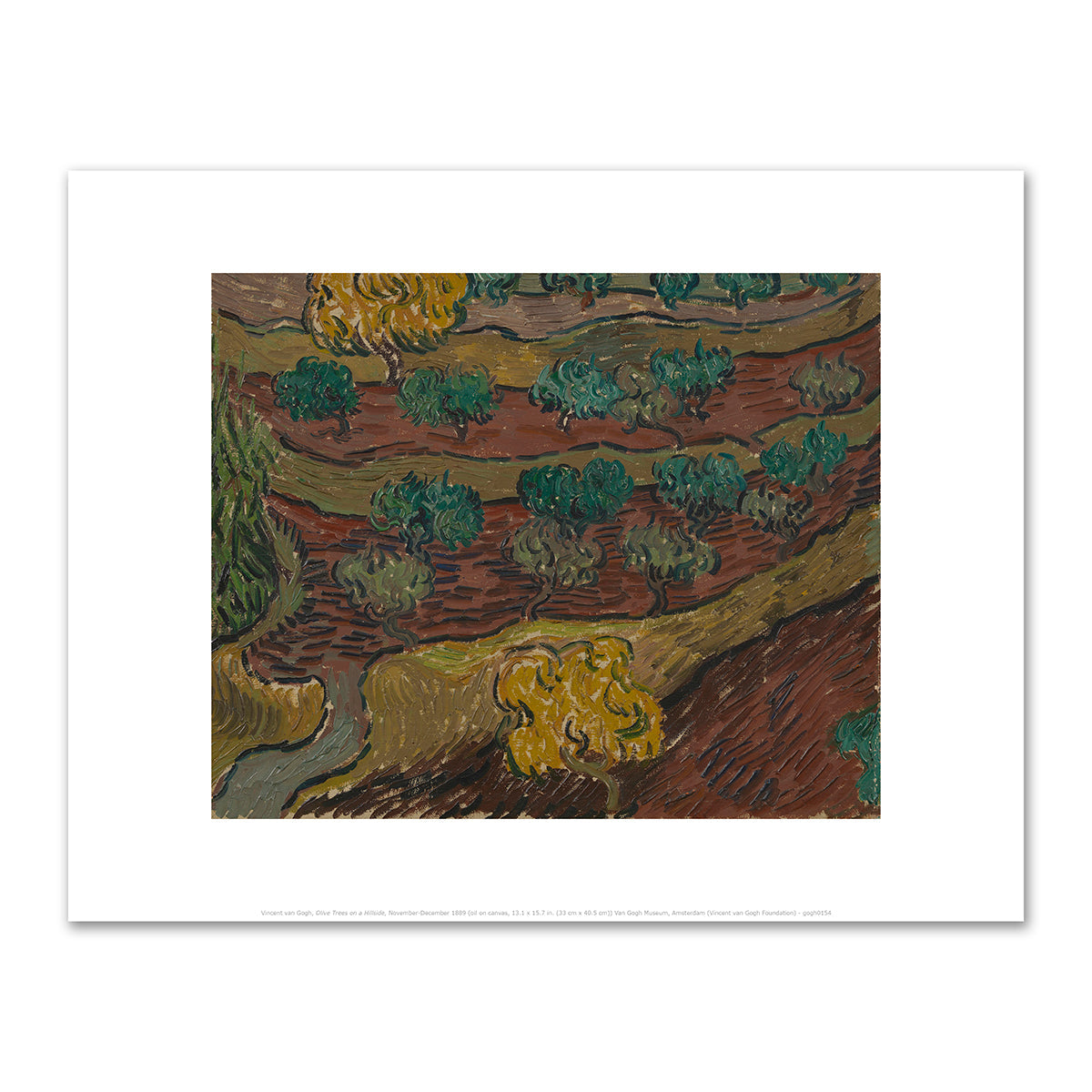 Olive Trees on a Hillside by Vincent van Gogh