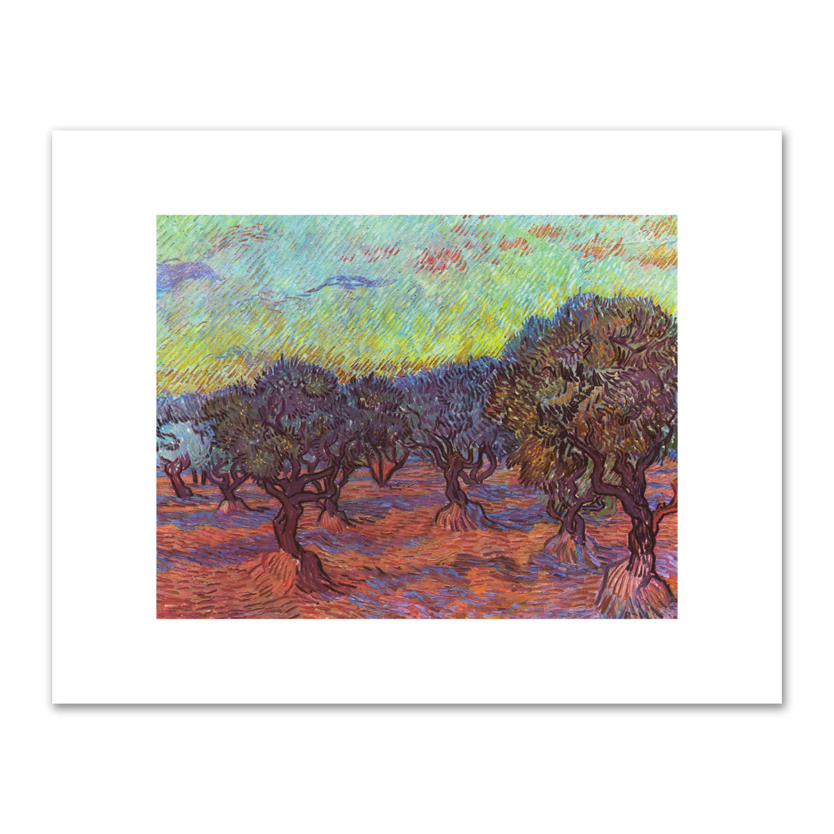 Olive Grove, Saint-Rémy by Vincent van Gogh