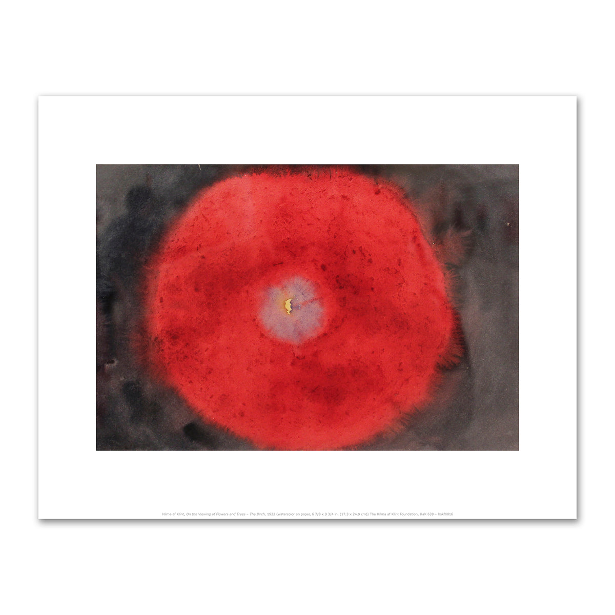 On the Viewing of Flowers and Trees - The Birch by Hilma af Klint