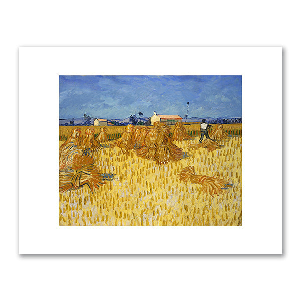 Corn Harvest in Provence by Vincent Van Gogh
