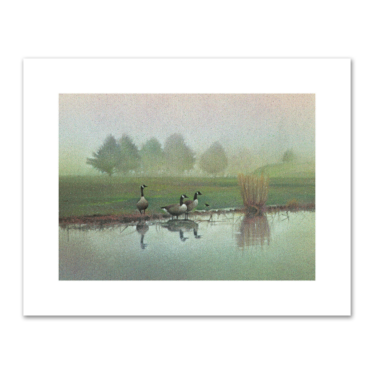 Watch Hill Geese by Kirsten Söderlind