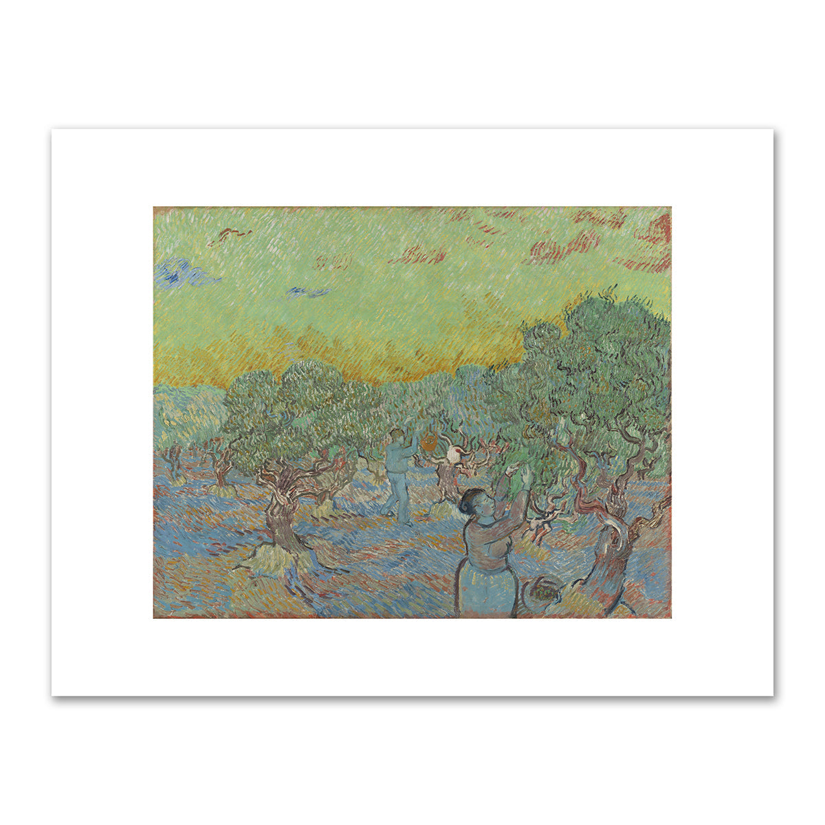 Olive grove with two pickers by Vincent van Gogh