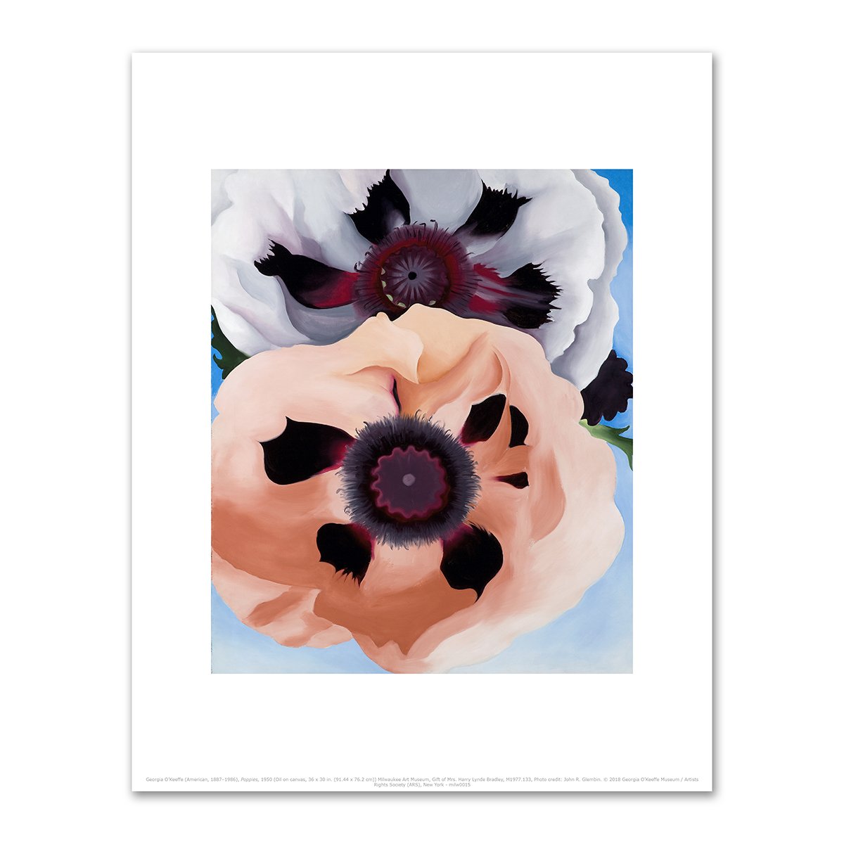 Poppies by Georgia O'Keeffe