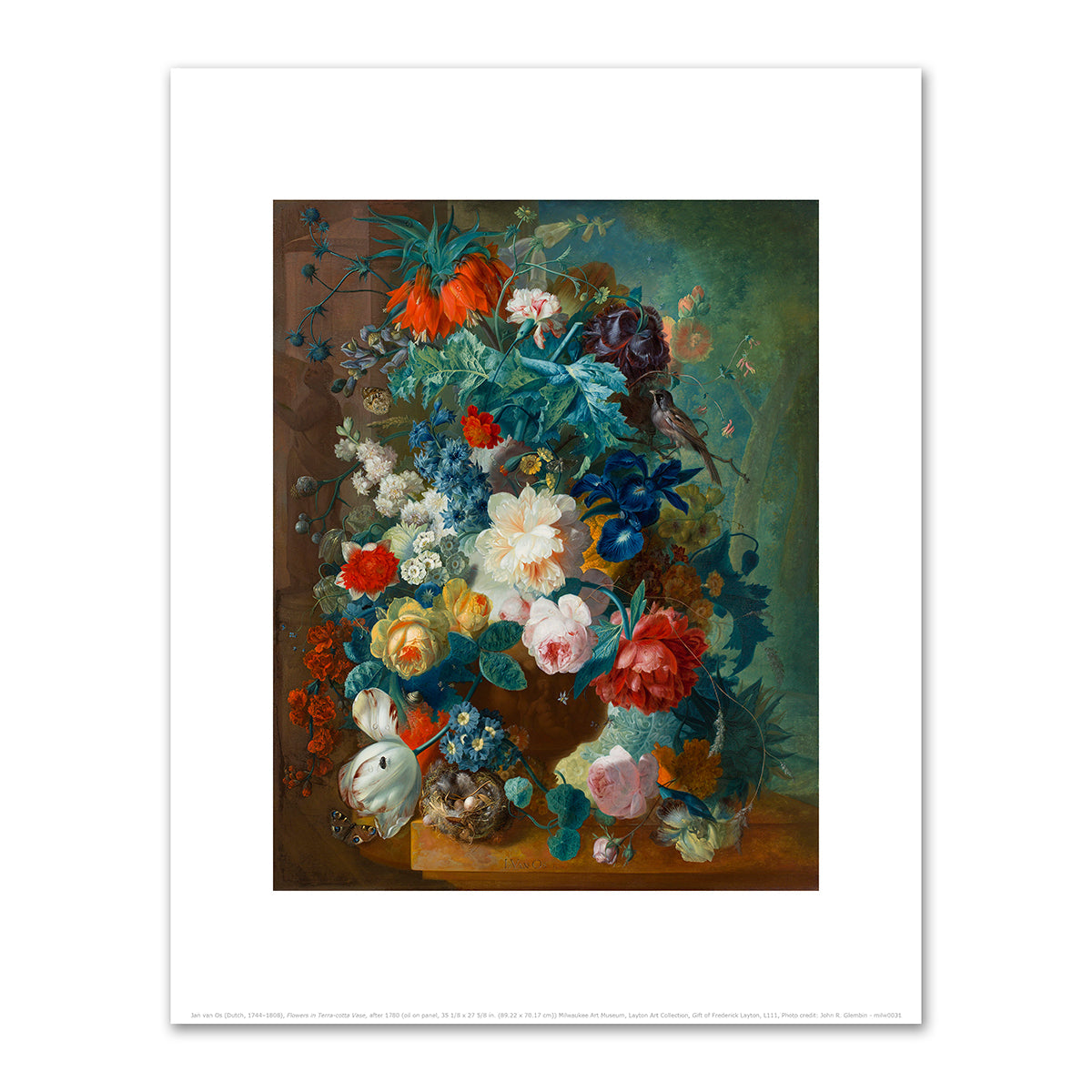 Flowers in Terra-cotta Vase by Jan van Os