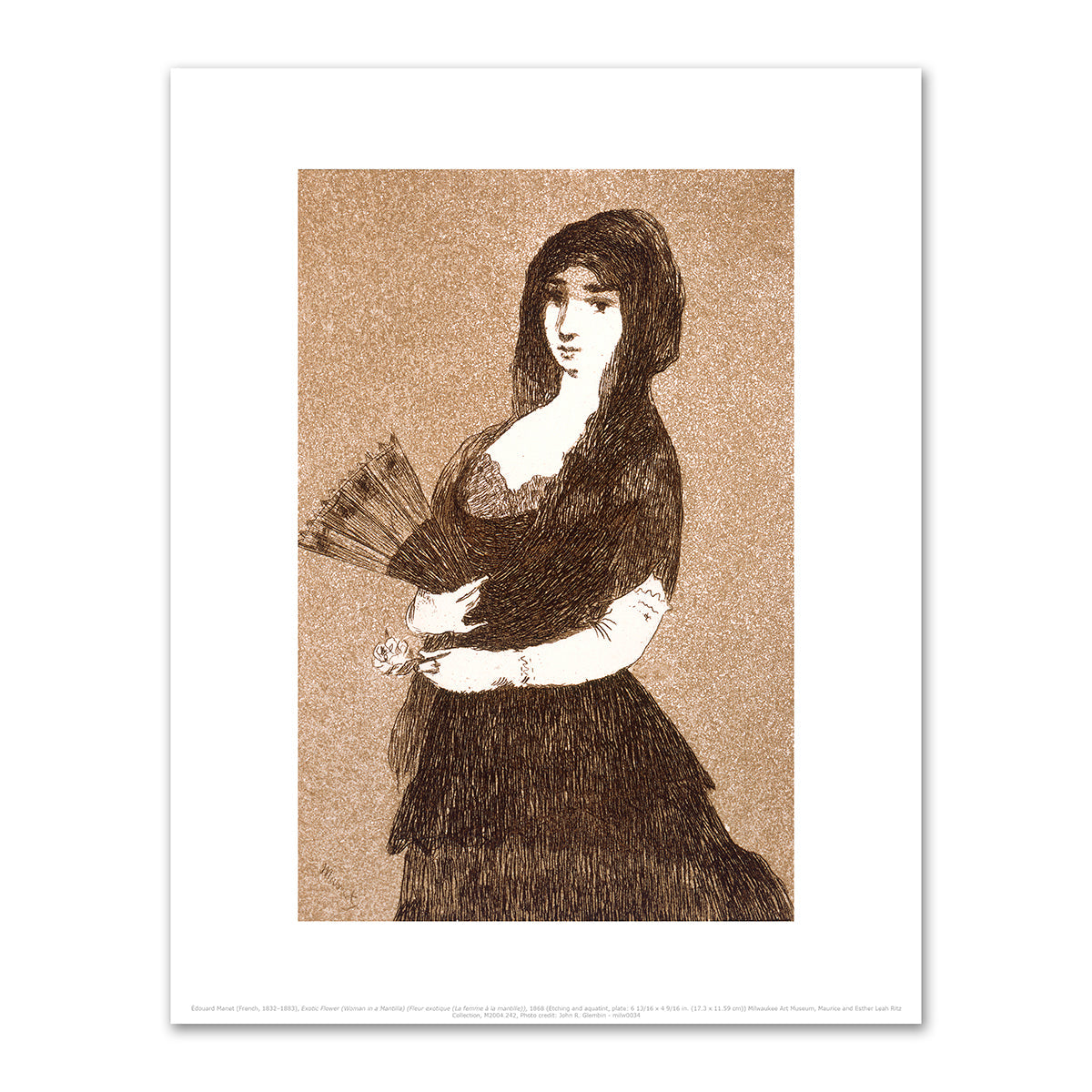 Exotic Flower (Woman in a Mantilla) (Fleur exotique [La femme à la mantille]) by Édouard Manet