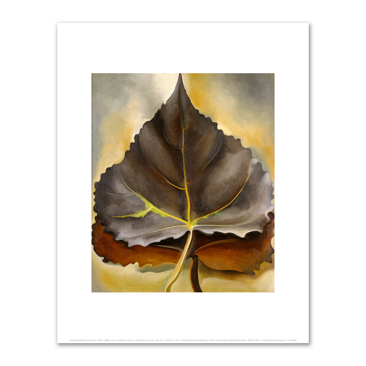 Grey and Brown Leaves by Georgia O'Keeffe