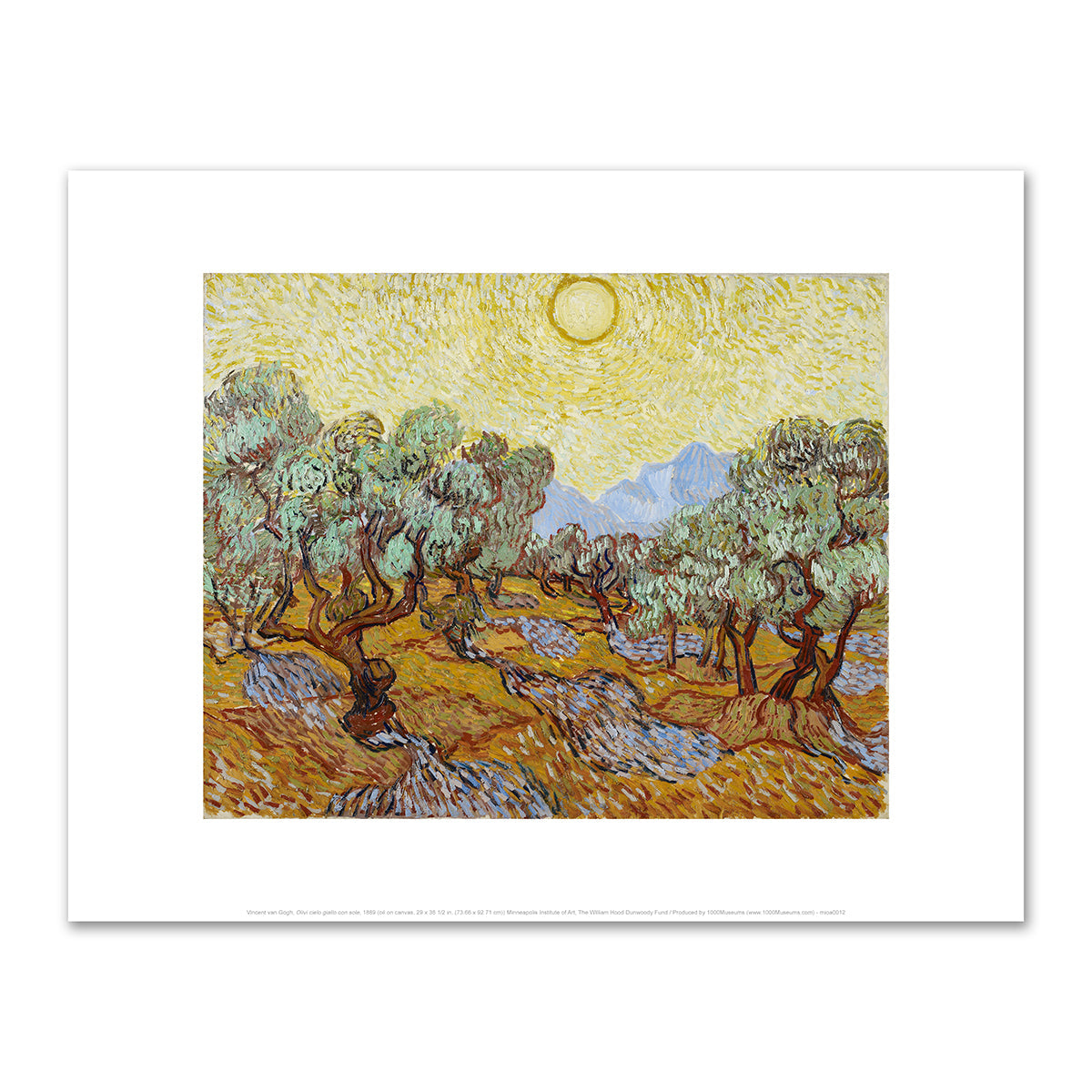 Olive Trees by Vincent van Gogh