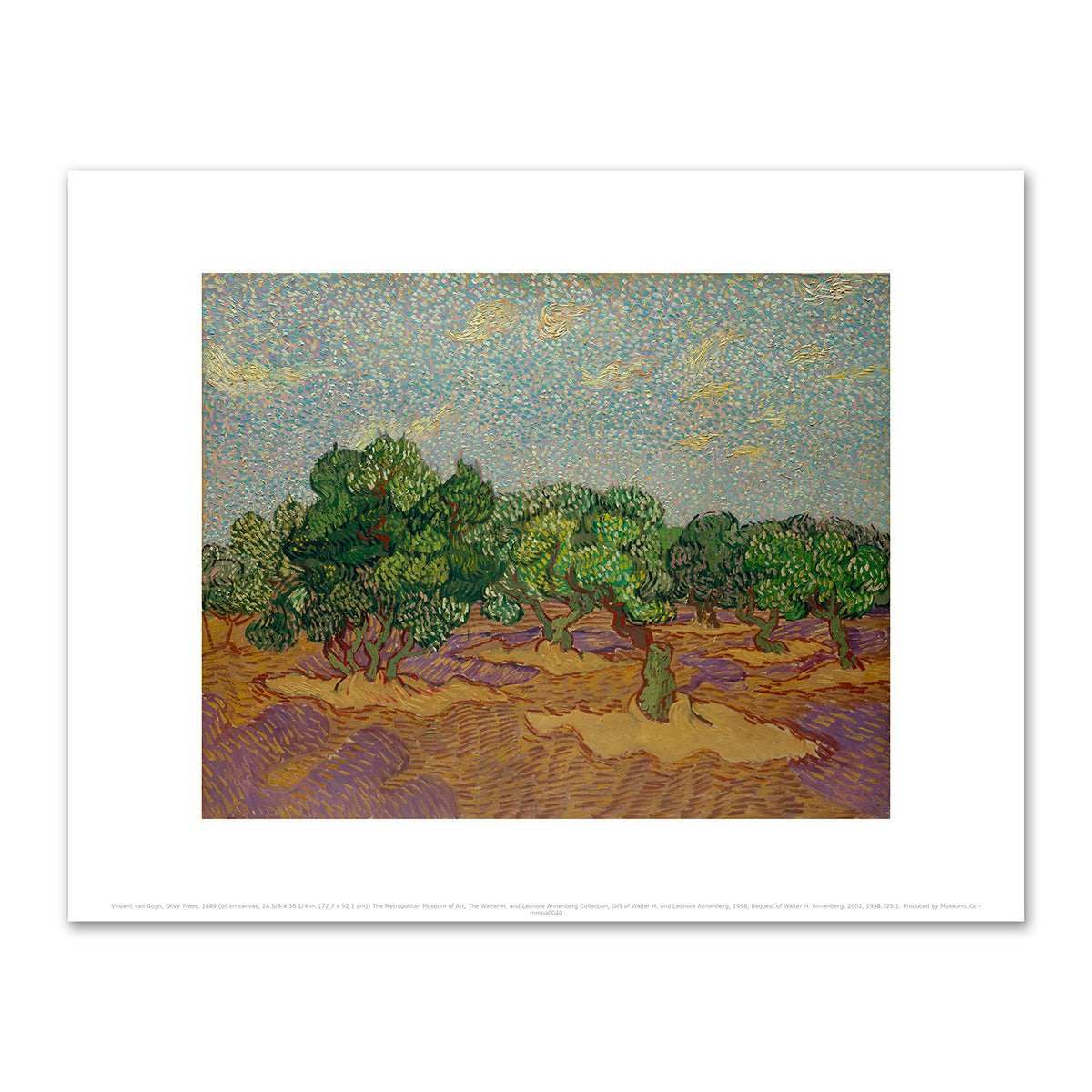 Olive Trees by Vincent van Gogh