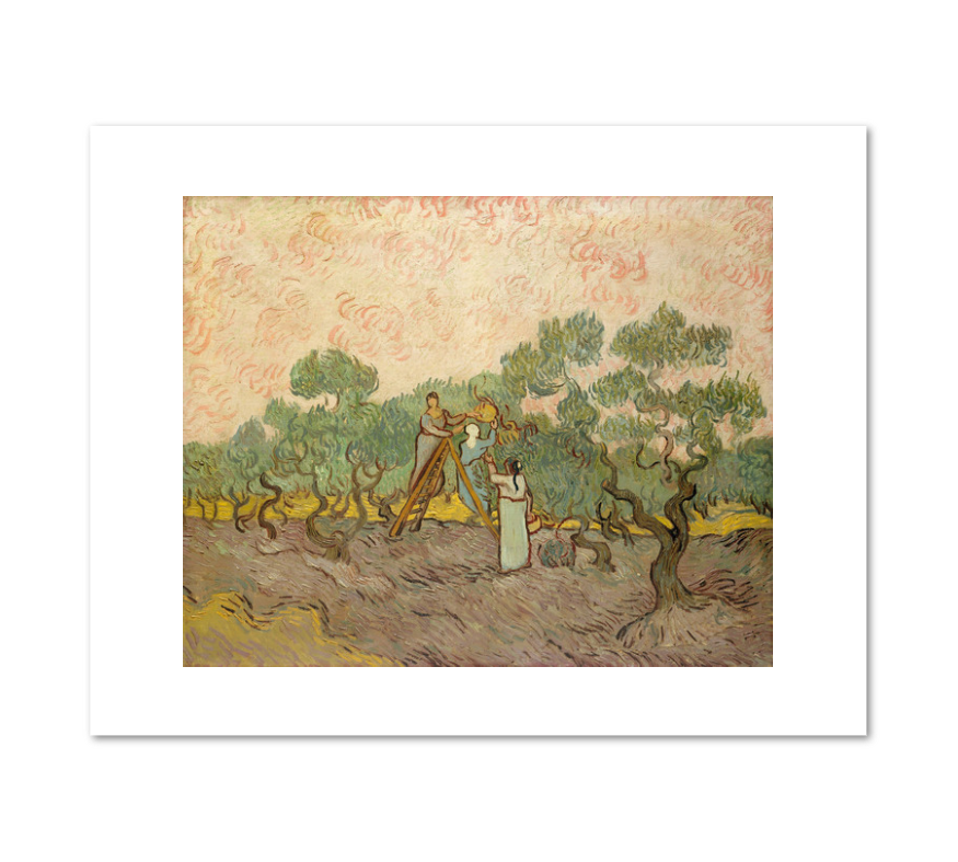 Women Picking Olives by Vincent van Gogh