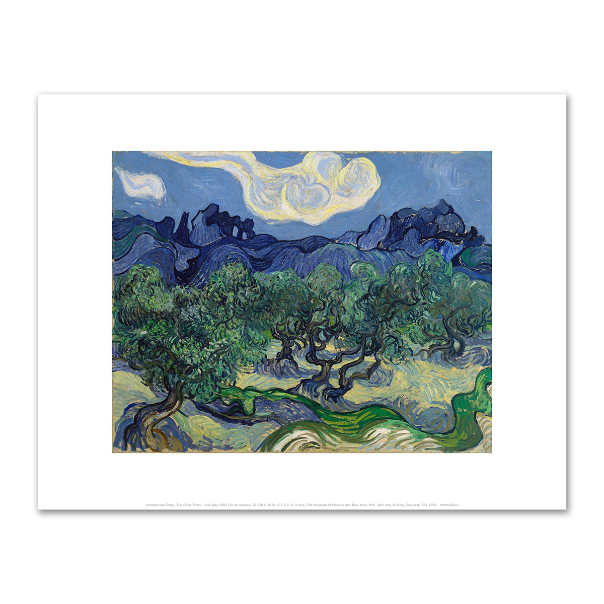 The Olive Trees by Vincent van Gogh